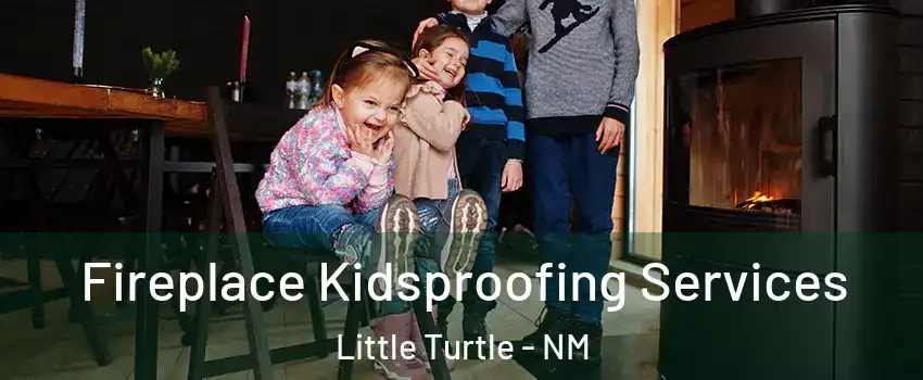 Fireplace Kidsproofing Services Little Turtle - NM