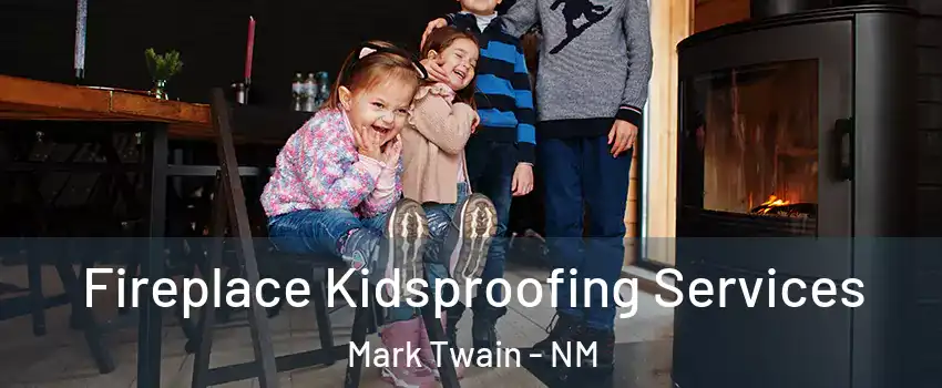 Fireplace Kidsproofing Services Mark Twain - NM