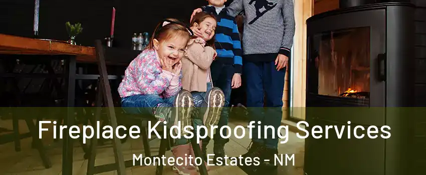 Fireplace Kidsproofing Services Montecito Estates - NM