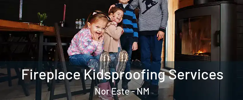 Fireplace Kidsproofing Services Nor Este - NM