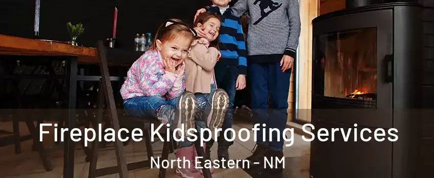 Fireplace Kidsproofing Services North Eastern - NM