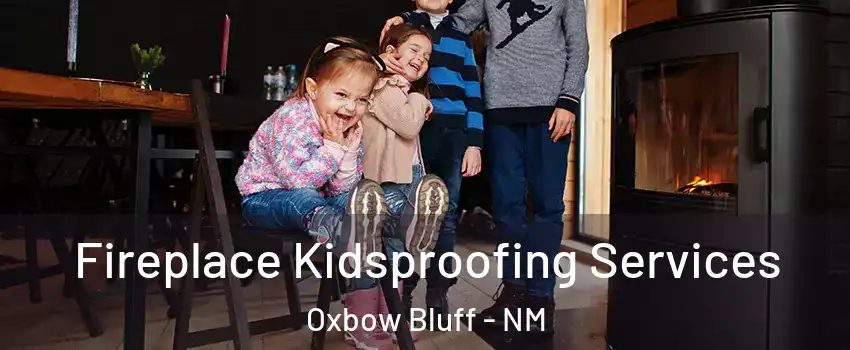 Fireplace Kidsproofing Services Oxbow Bluff - NM