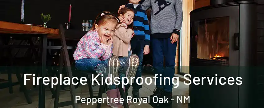 Fireplace Kidsproofing Services Peppertree Royal Oak - NM