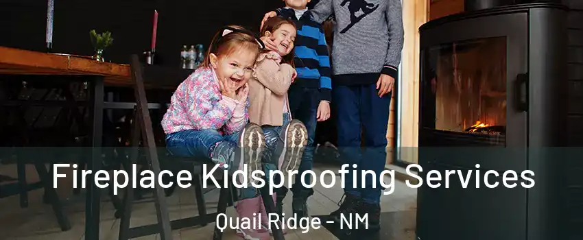 Fireplace Kidsproofing Services Quail Ridge - NM