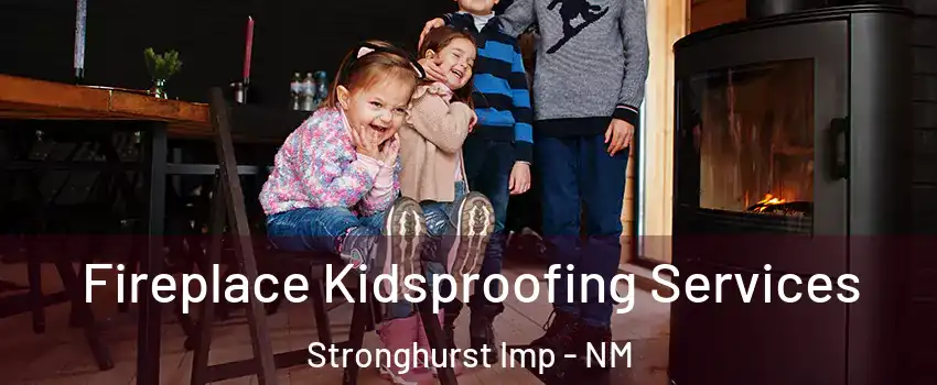 Fireplace Kidsproofing Services Stronghurst Imp - NM