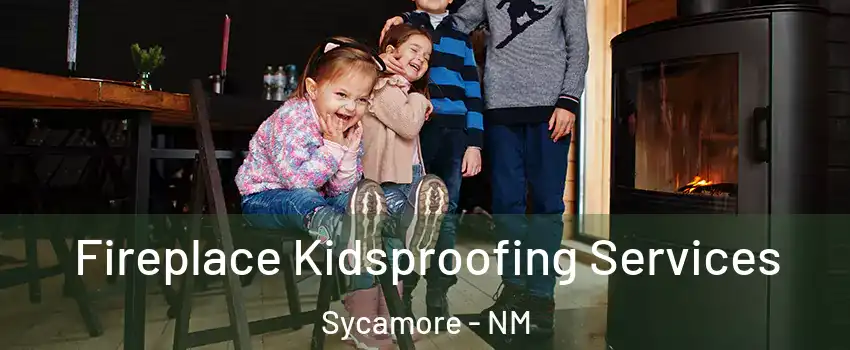 Fireplace Kidsproofing Services Sycamore - NM