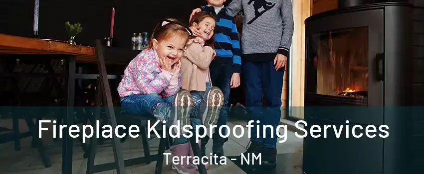 Fireplace Kidsproofing Services Terracita - NM