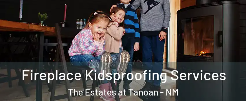 Fireplace Kidsproofing Services The Estates at Tanoan - NM
