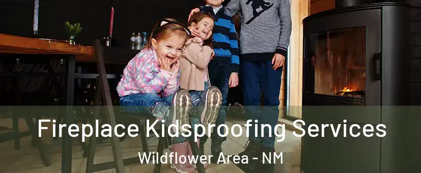 Fireplace Kidsproofing Services Wildflower Area - NM