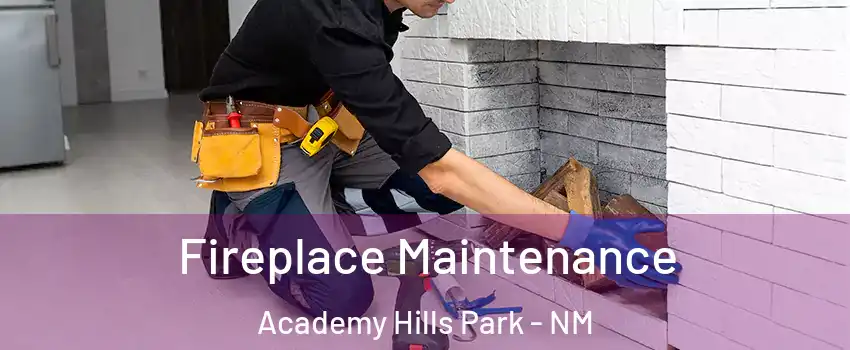 Fireplace Maintenance Academy Hills Park - NM