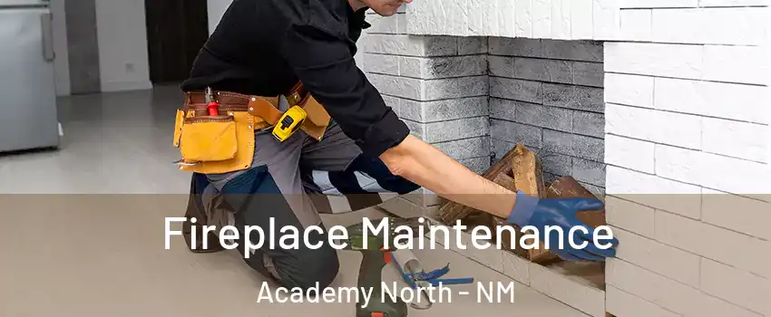 Fireplace Maintenance Academy North - NM