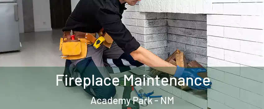 Fireplace Maintenance Academy Park - NM