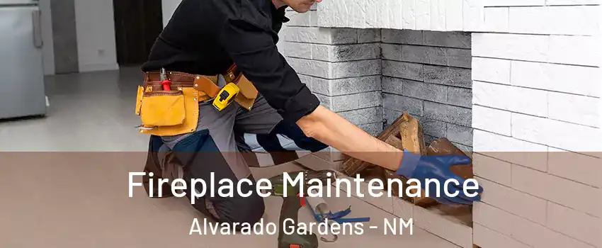 Fireplace Maintenance Alvarado Gardens - NM