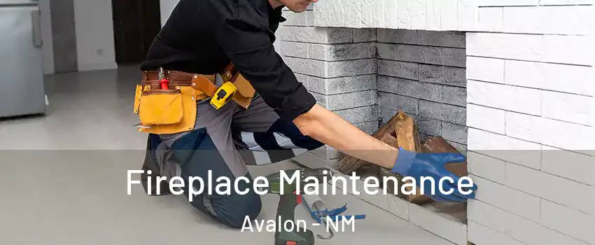 Fireplace Maintenance Avalon - NM