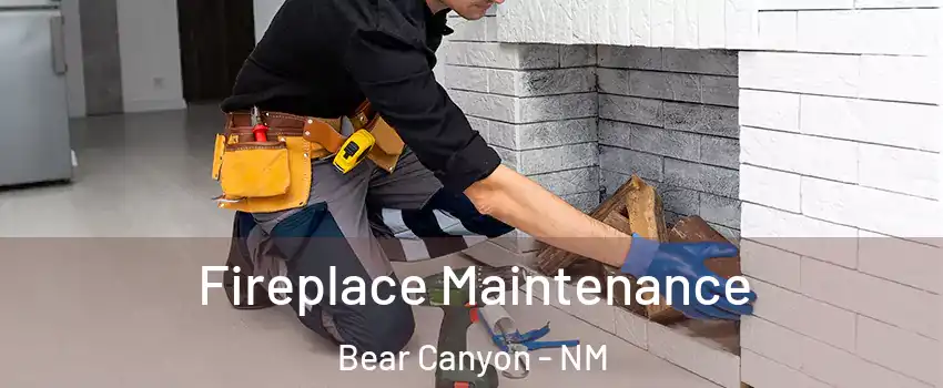 Fireplace Maintenance Bear Canyon - NM