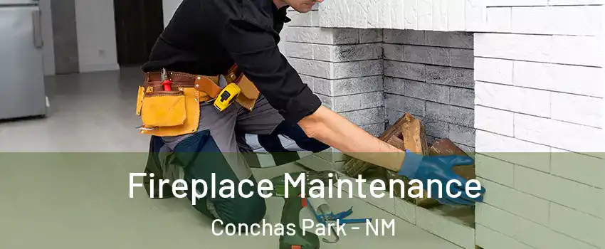 Fireplace Maintenance Conchas Park - NM