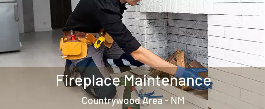 Fireplace Maintenance Countrywood Area - NM