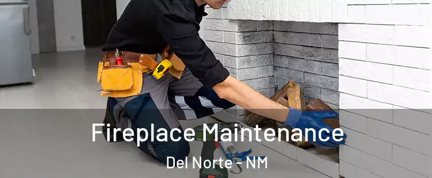 Fireplace Maintenance Del Norte - NM
