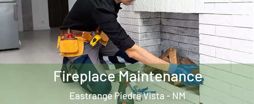 Fireplace Maintenance Eastrange Piedra Vista - NM