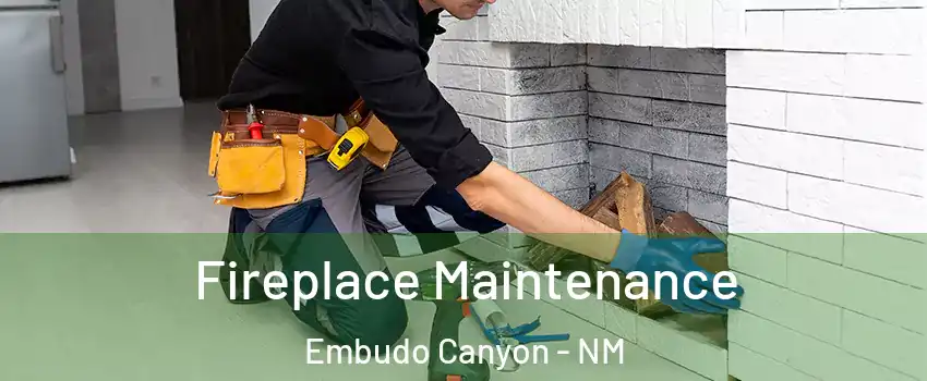 Fireplace Maintenance Embudo Canyon - NM