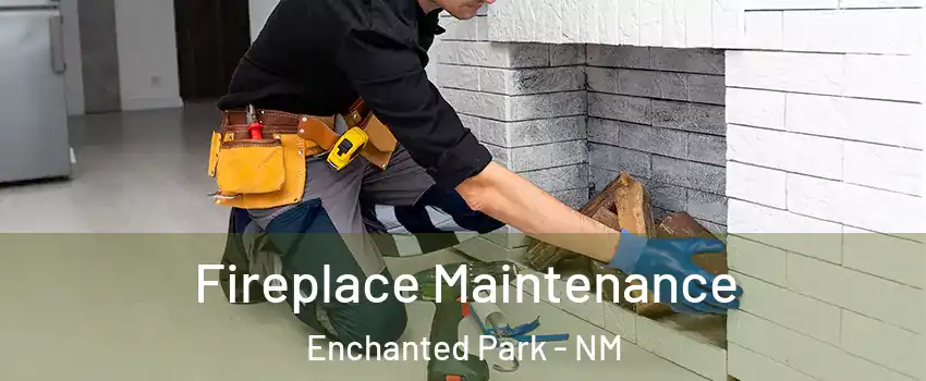 Fireplace Maintenance Enchanted Park - NM