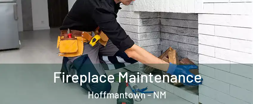Fireplace Maintenance Hoffmantown - NM