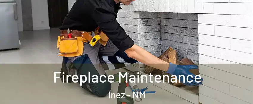 Fireplace Maintenance Inez - NM
