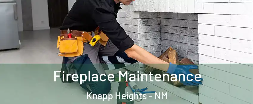 Fireplace Maintenance Knapp Heights - NM