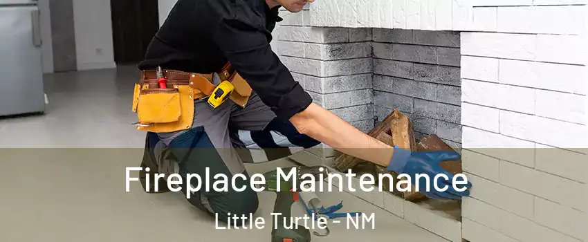 Fireplace Maintenance Little Turtle - NM