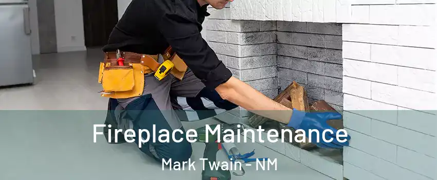 Fireplace Maintenance Mark Twain - NM