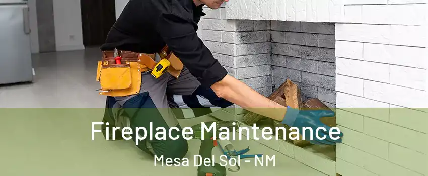 Fireplace Maintenance Mesa Del Sol - NM