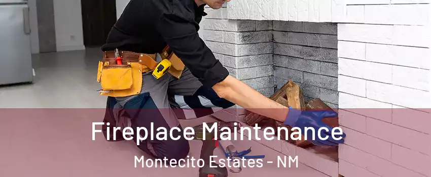 Fireplace Maintenance Montecito Estates - NM