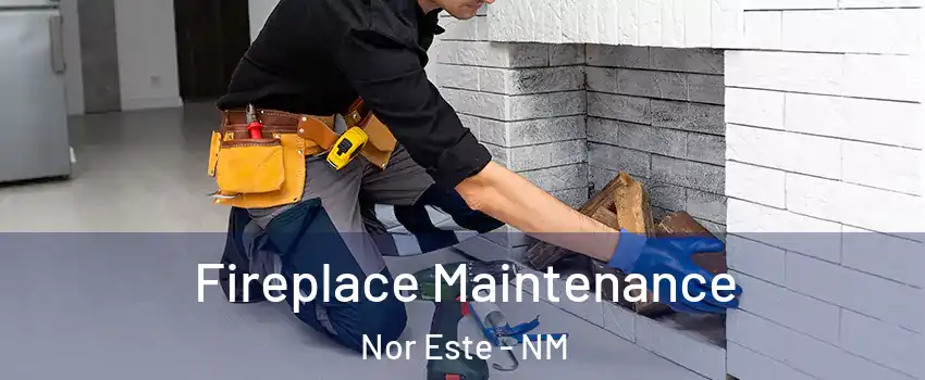 Fireplace Maintenance Nor Este - NM