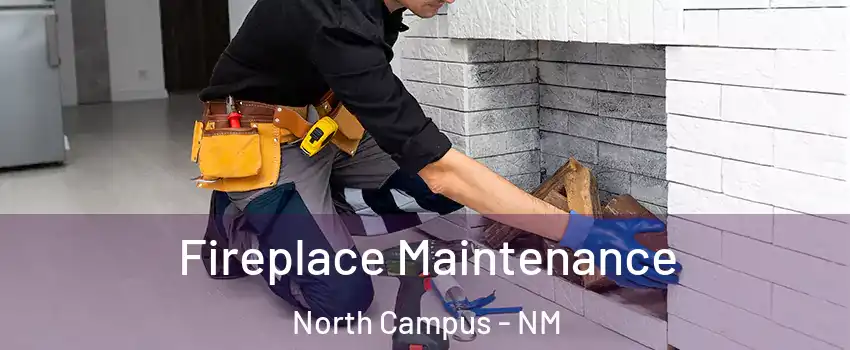 Fireplace Maintenance North Campus - NM