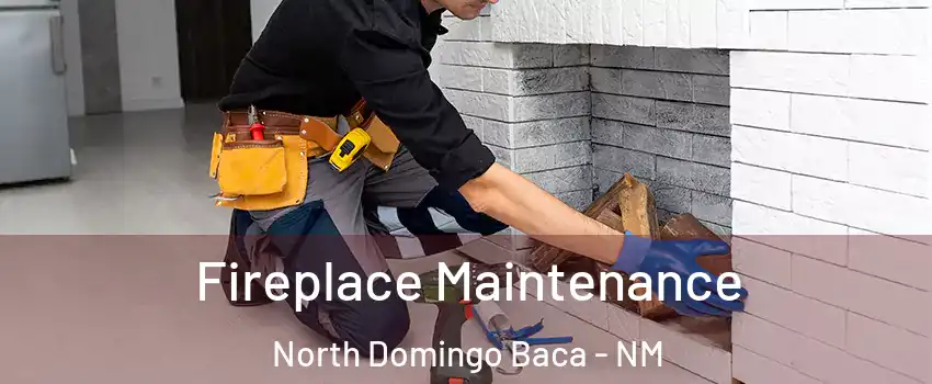 Fireplace Maintenance North Domingo Baca - NM