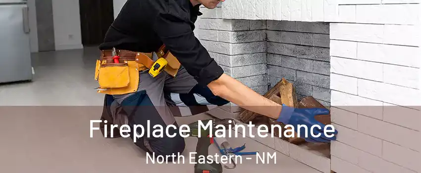 Fireplace Maintenance North Eastern - NM