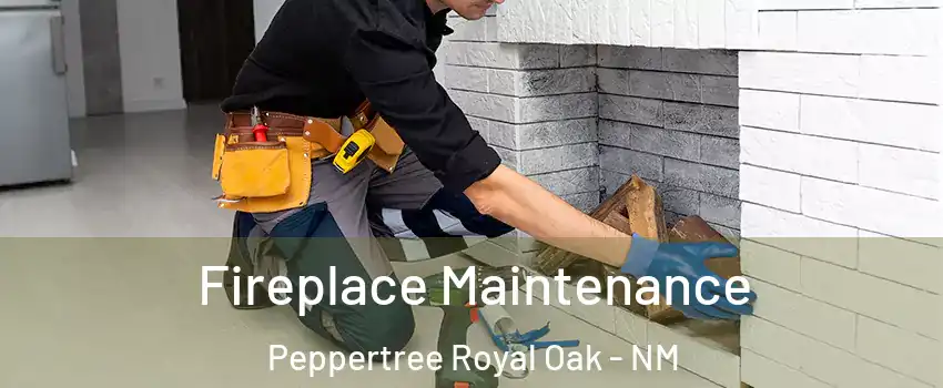 Fireplace Maintenance Peppertree Royal Oak - NM