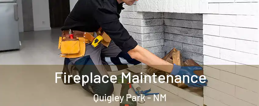 Fireplace Maintenance Quigley Park - NM