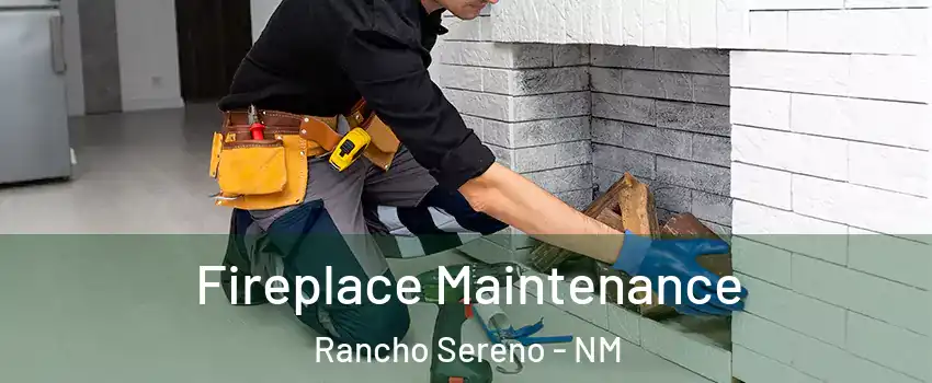Fireplace Maintenance Rancho Sereno - NM