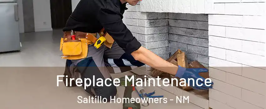Fireplace Maintenance Saltillo Homeowners - NM