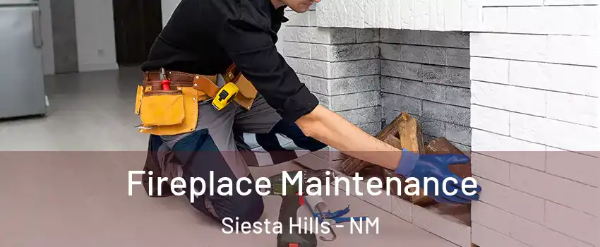 Fireplace Maintenance Siesta Hills - NM