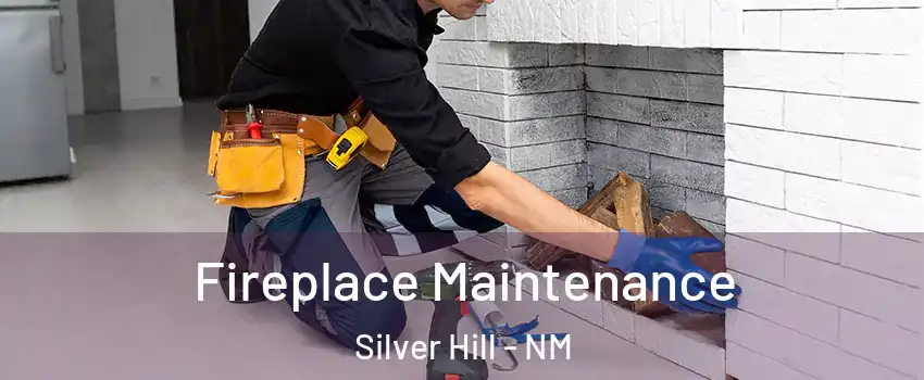 Fireplace Maintenance Silver Hill - NM