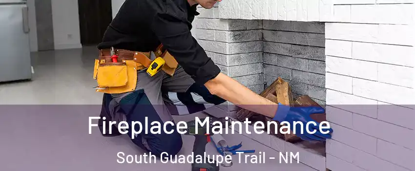 Fireplace Maintenance South Guadalupe Trail - NM