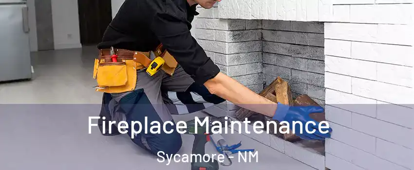 Fireplace Maintenance Sycamore - NM