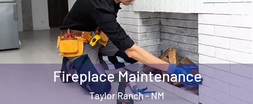 Fireplace Maintenance Taylor Ranch - NM