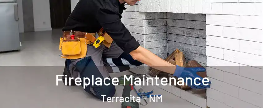 Fireplace Maintenance Terracita - NM