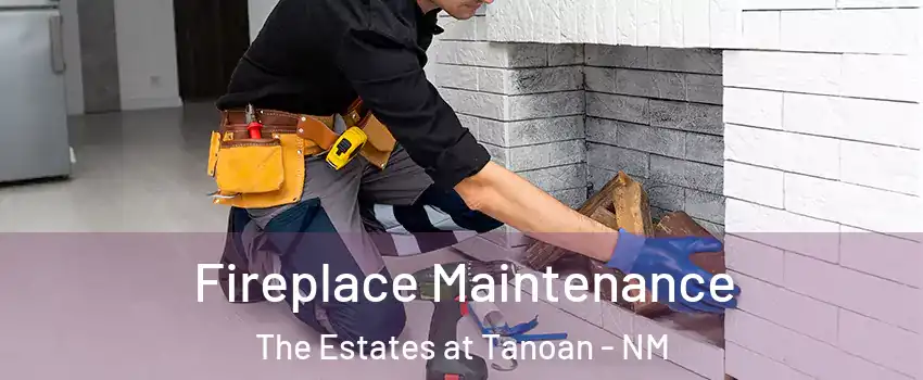 Fireplace Maintenance The Estates at Tanoan - NM