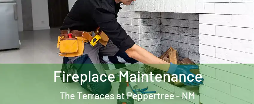 Fireplace Maintenance The Terraces at Peppertree - NM