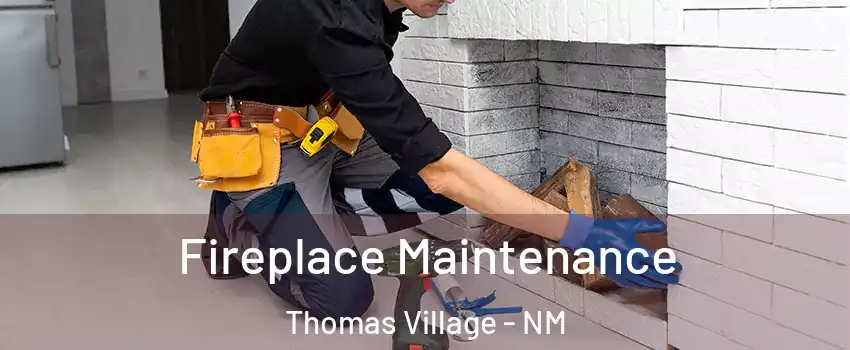 Fireplace Maintenance Thomas Village - NM