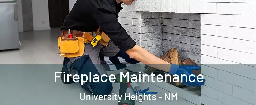 Fireplace Maintenance University Heights - NM